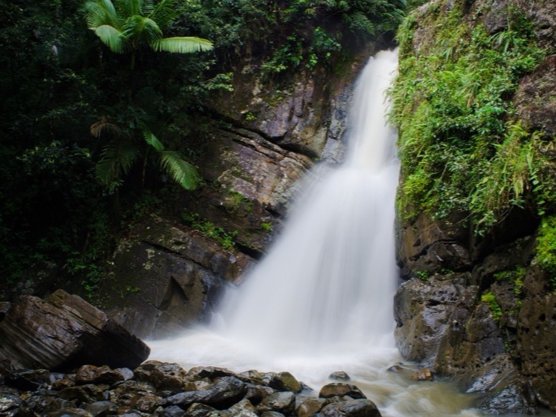 El Yunque, Puerto Rico