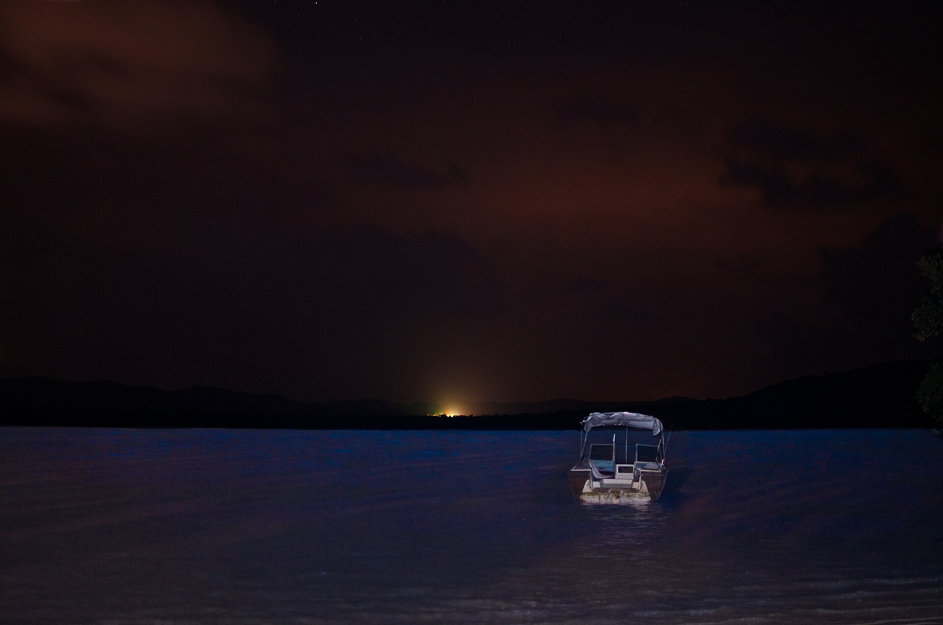 Bioluminescent Bays
