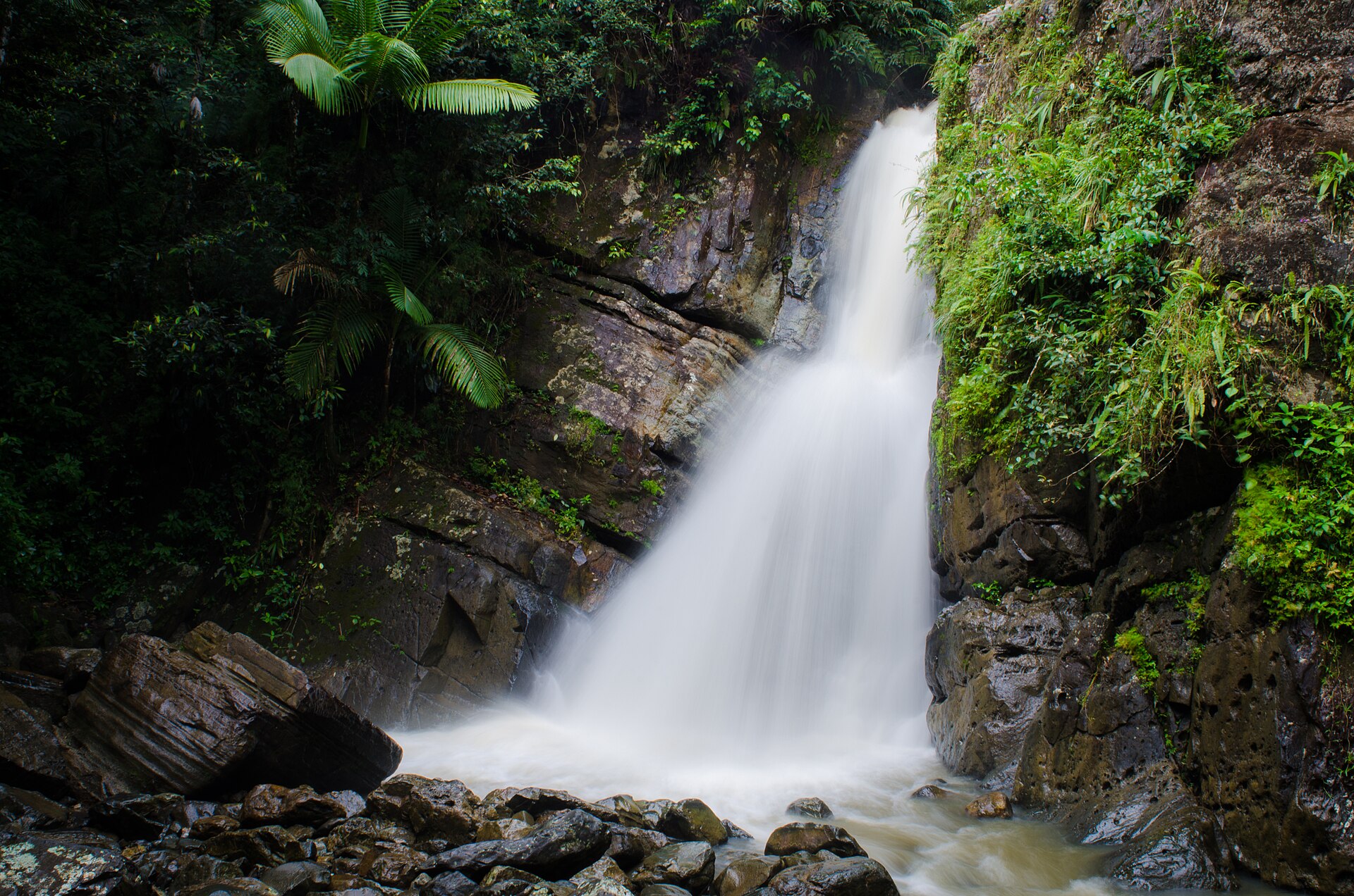 El Yunque