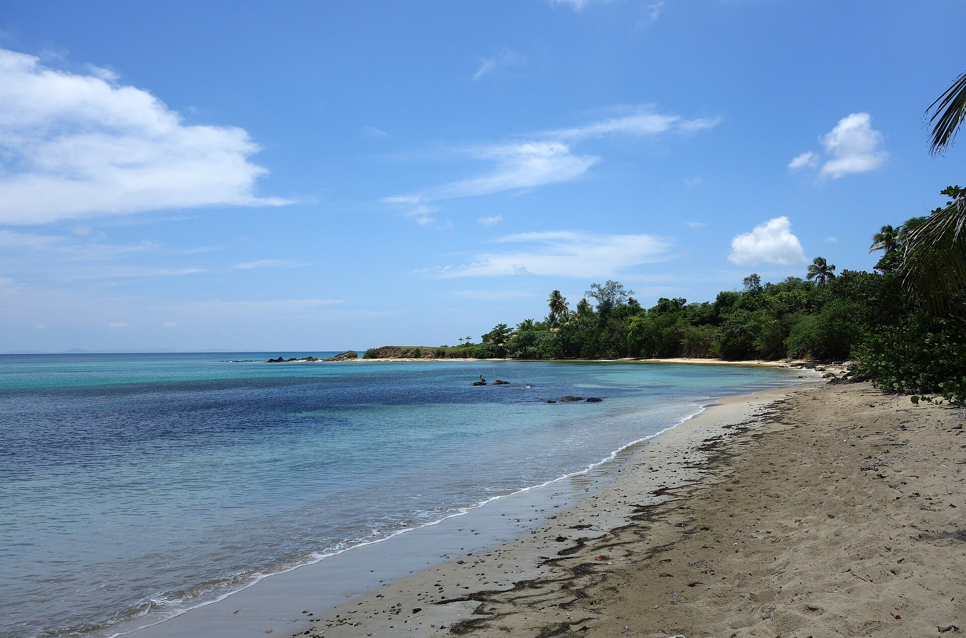 Vieques
